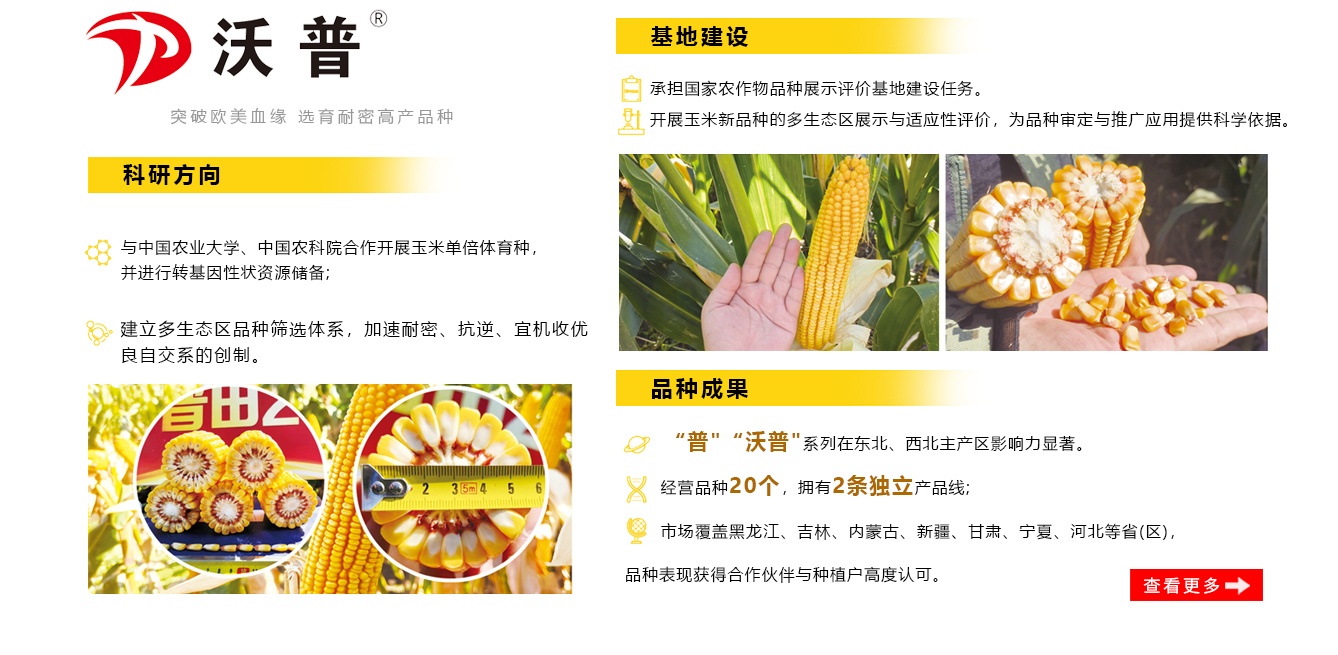 沃普