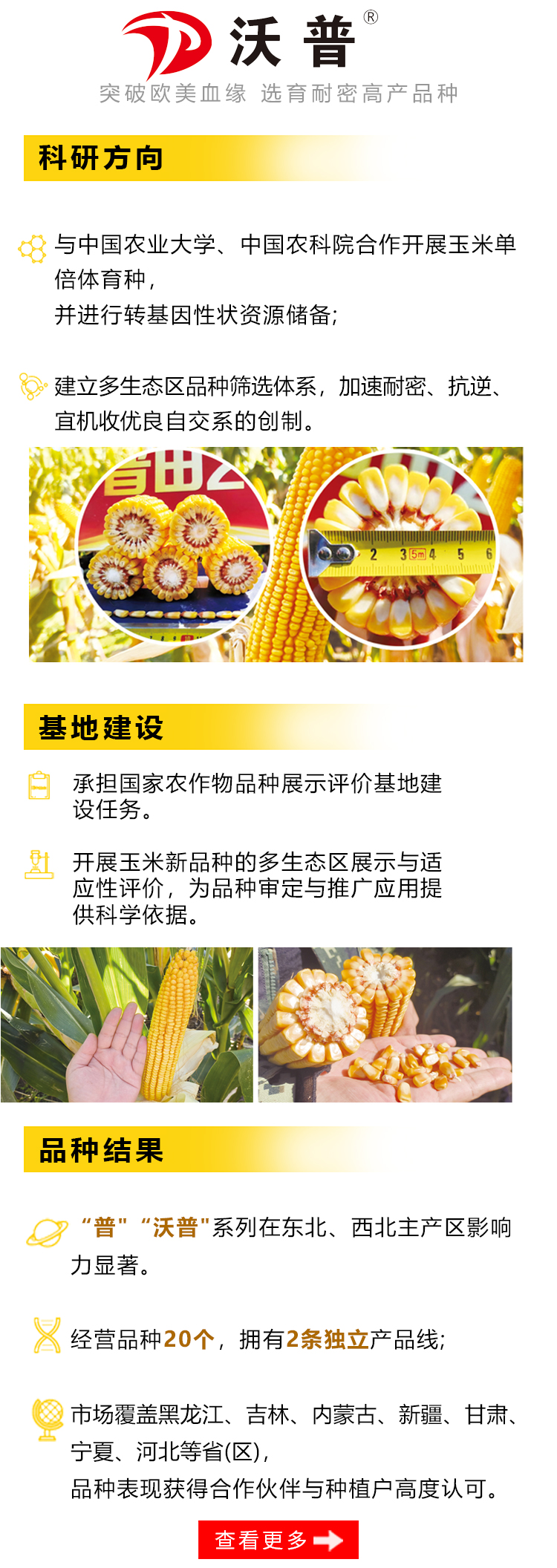 沃普