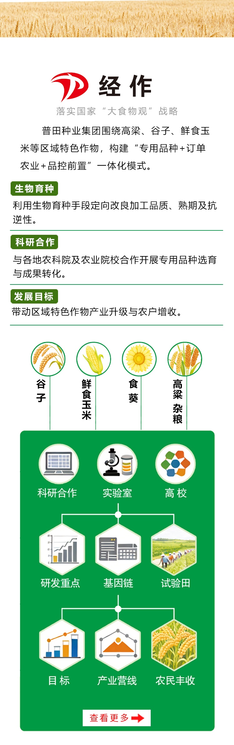 经作