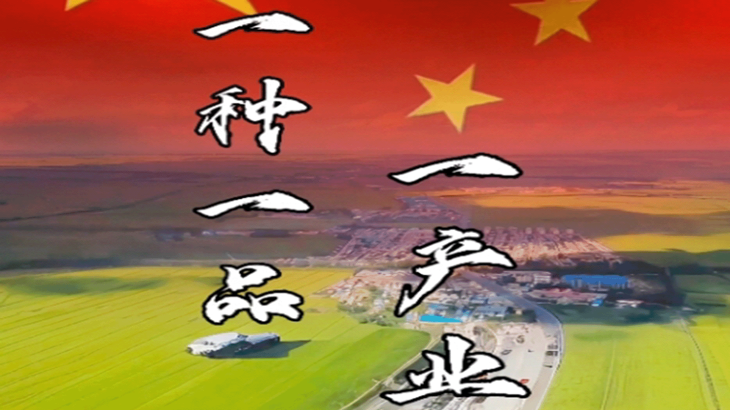 一种一品·一产业