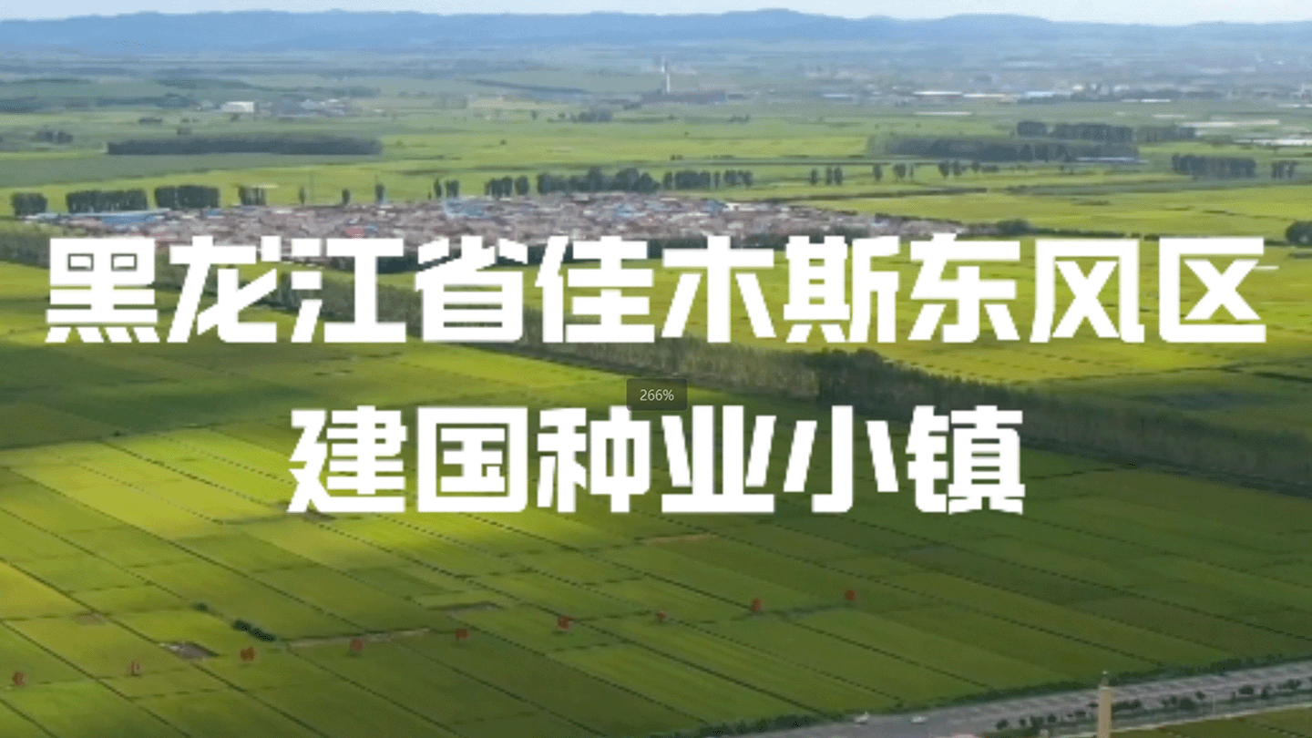 北安普田种业