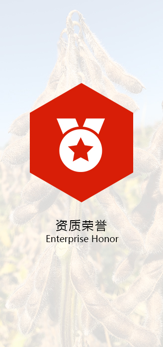 企业荣誉