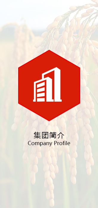 集团介绍