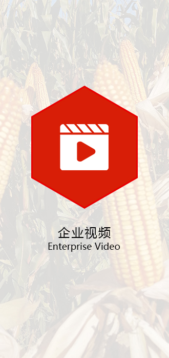 视频介绍