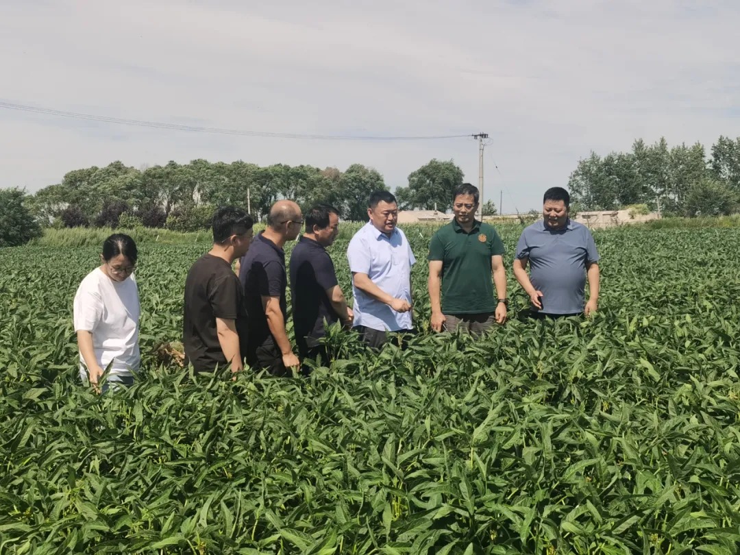 南京农业大学与省农科院专家团莅临普田种业集团考察交流 共谋种业高质量发展新篇