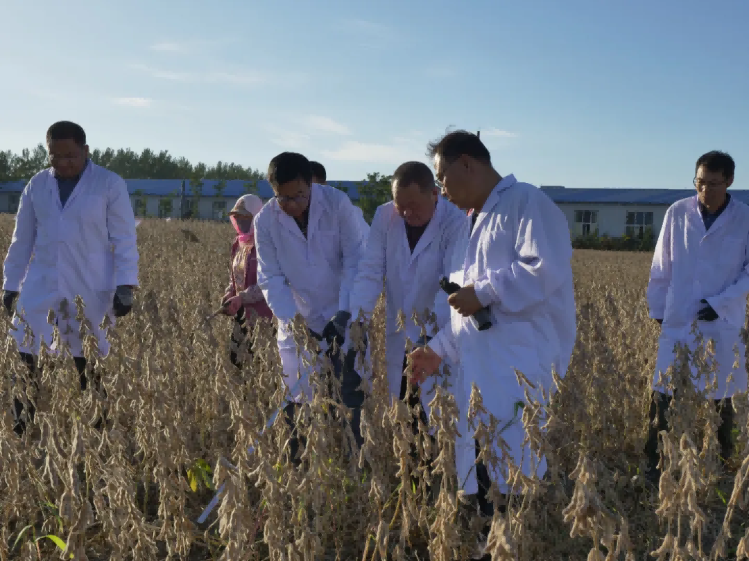 黑龙江省主要农作物大豆专家育种基地（大豆第三积温带）第二场现场观摩会在佳木斯成功举办
