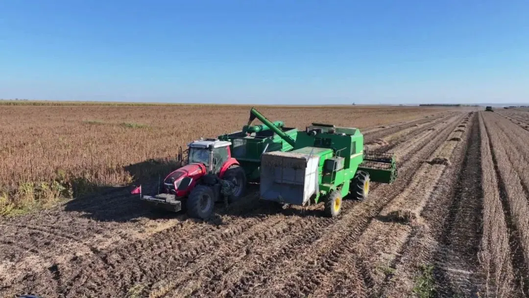 喜报 | 普田种业集团&ldquo;沃豆5号&rdquo;助力五大连池市大豆单产创历史新高