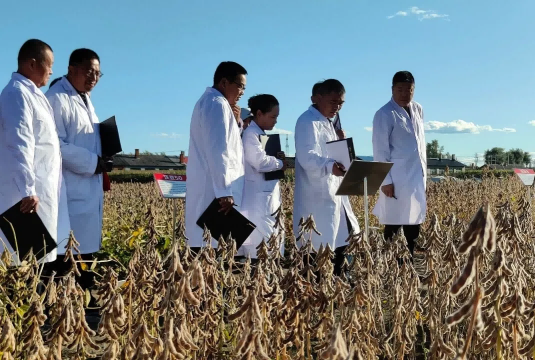 黑龙江省主要农作物专家育种基地（大豆第三积温带）现场观摩会盛大启幕