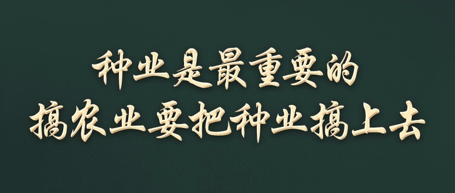 搞农业要把种业搞上去