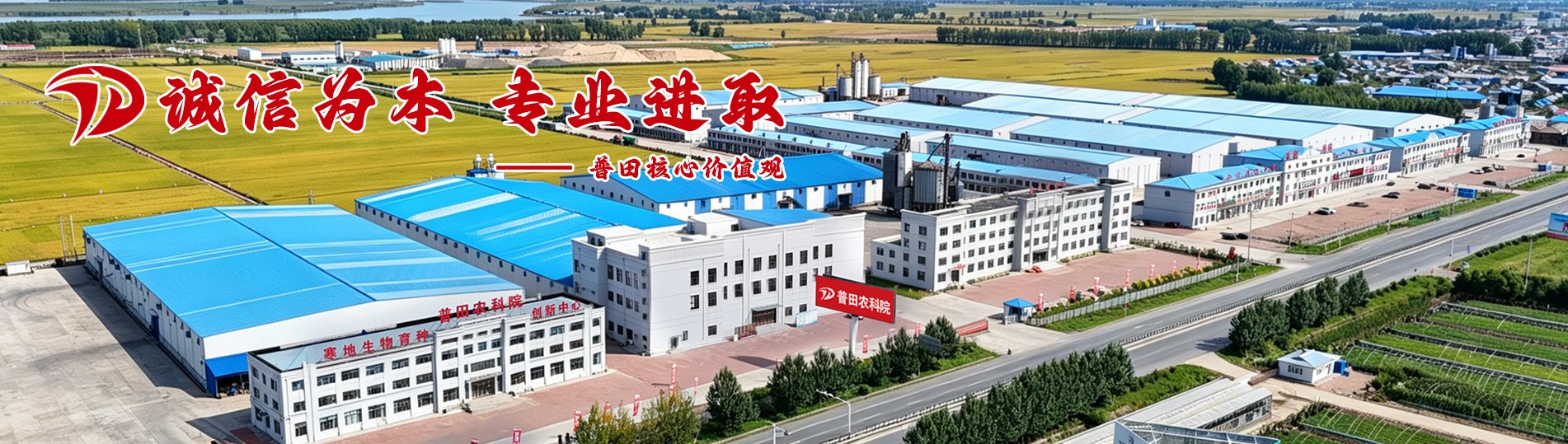 价值观